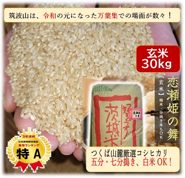 工場直売】令和六年産「玄米30kgこしひかり茨城県筑波山麓八郷産  