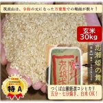 茨城県産コシヒカリ 30Kg令和6年度 茨城県産 コシヒカリ 30kg（5kg×6袋） 【無洗米】 令和6年産 米